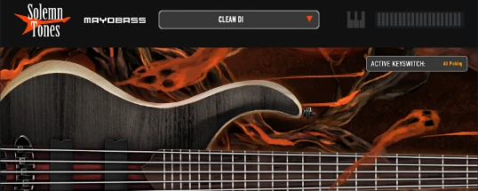 Solemn Tones MayoBass Cover