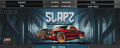Diamond Loopz Slapz VST Icon