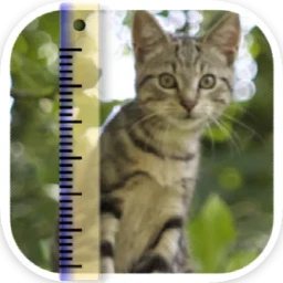 SizeMyPics Icon