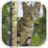 SizeMyPics Icon