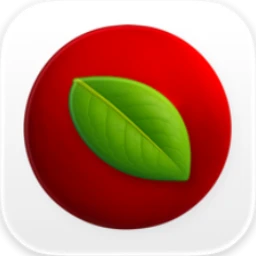 Lingon 10 Icon