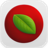 Lingon 10 Icon