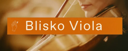 Felt Instruments Blisko Viola Cover