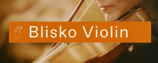 Felt Instruments Blisko Violin Cover