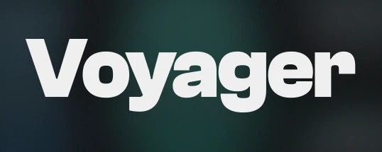 Vynl Audio Voyager Cover