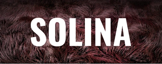AIR Music Technology Solina Cover