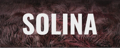 AIR Music Technology Solina Icon