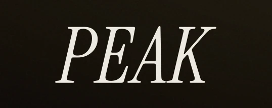 RTM Audio Peak Cover