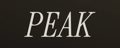 RTM Audio Peak Icon