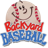 Backyard Baseball Icon