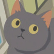 Cat Chaos Icon