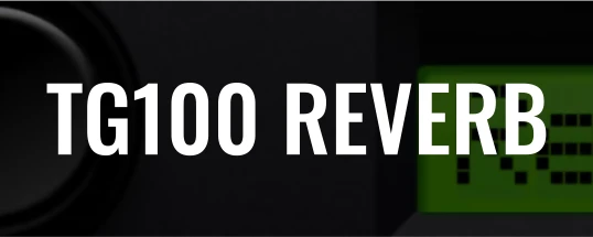 Martinic TG100 Reverb Cover