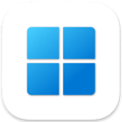 Windows 10/11 Pro Icon