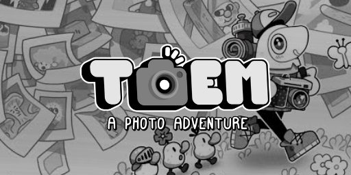 TOEM 2 Cover