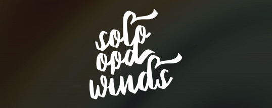 Audio Modeling SWAM Solo Woodwinds Bundle Cover