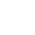 Sonix Audio TONEFLX Icon