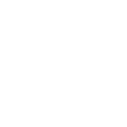 Sonix Audio TONEFLX Icon