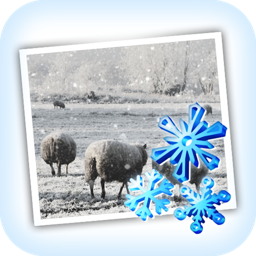 JixiPix Snow Daze Icon