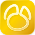 Navicat Premium Icon